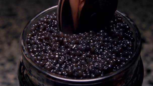 Spoon takes delicious black caviar from a glass jar — Stock Video