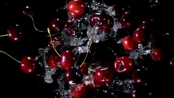 Heerlijke sappige kersen stuiteren omhoog met spatten water op een zwarte achtergrond — Stockvideo
