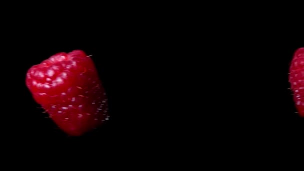 Close-up van twee frambozen vliegen naar elkaar toe op de zwarte achtergrond — Stockvideo