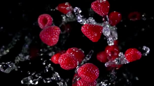 Köstliche Himbeeren fliegen mit Wasserspritzern auf dem schwarzen Hintergrund — Stockvideo