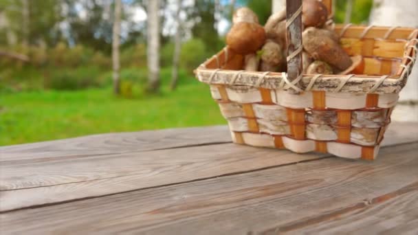 Березовая корзина со свежесобранными грибами падает на деревянный стол — стоковое видео