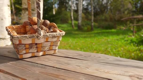 Coș cu ciuperci proaspăt culese cade pe o suprafață de lemn în aer liber — Videoclip de stoc