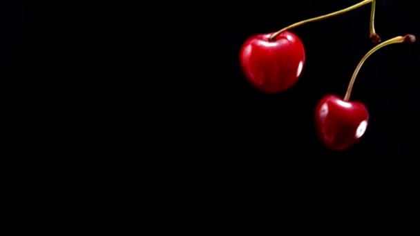 Аппетитные сочные красные вишни летают по диагонали на черном фоне — стоковое видео