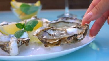 Kadın eli buzlu beyaz bir tabaktan taze ve lezzetli bir istiridye alır.