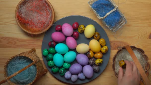 Draufsicht auf die weiblichen Hände, die bunte Ostereier auf den grauen Teller legen — Stockvideo