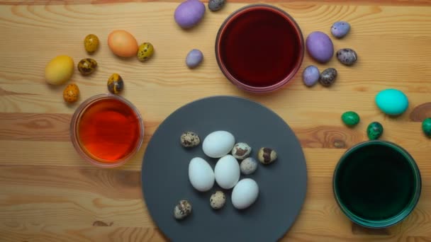 Hand legt Eier in die Schalen mit Färbelösung, um sie für Ostern zu färben
