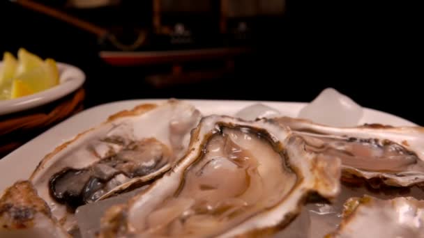 Primo piano di ostriche fresche aperte deliziose che posano il ghiaccio su un piatto bianco — Video Stock