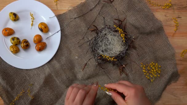 Las manos femeninas están decorando el nido con flores y huevos de codorniz de color amarillo — Vídeos de Stock