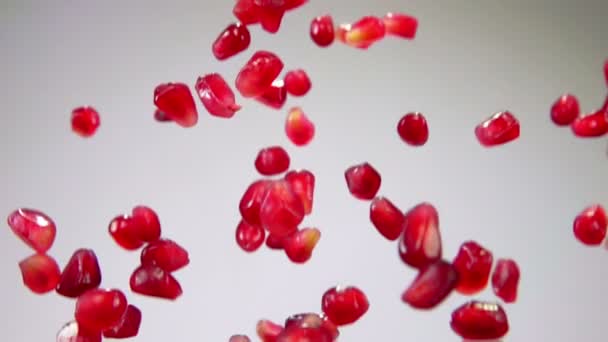 Röda korn av moget granatäpple flyger upp på den vita bakgrunden — Stockvideo