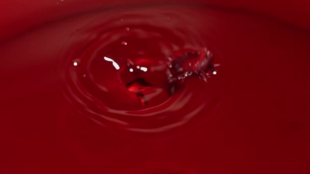 石榴颗粒慢吞吞地掉进了红色的果汁里 — 图库视频影像