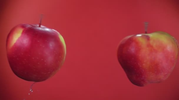 Dos manzanas rojas están volando una hacia la otra, chocando sobre el fondo rojo — Vídeos de Stock