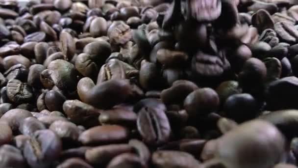Roasted coffee beans are falling down in slow motion — Stock Video