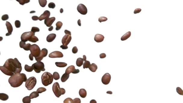 Los granos de café tostados Arabica están volando y girando sobre un fondo blanco — Vídeo de stock