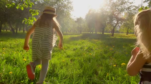 Twee prachtige schattige meisjes in jurken lopen met een hond — Stockvideo