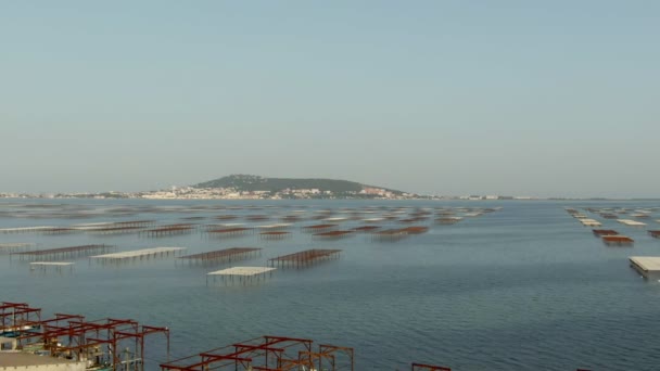 Vuelo desde granjas de ostras en el lago Etang de Thau al viñedo en la orilla — Vídeo de stock