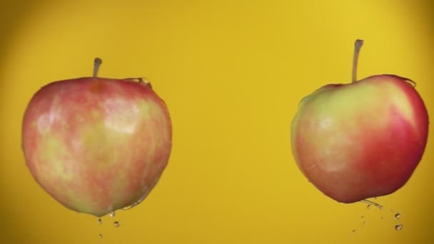 Duas maçãs vermelhas estão voando em direção um ao outro, colidindo no fundo amarelo — Vídeo de Stock