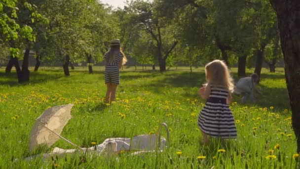 Gyönyörű lányok szednek sárga virágokat a gyepen az almafakertben. — Stock videók