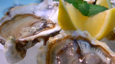 Limonlu taze ve lezzetli istiridyelerden oluşan süper yakın plan.