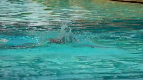 Маленькая темноволосая девочка ныряет и плавает в бассейне — стоковое видео