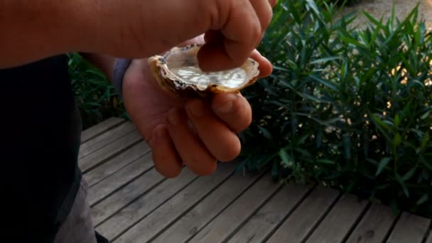 Een man perst citroensap op een verse heerlijke oester — Stockvideo