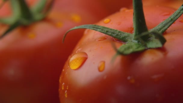 Σταγόνα νερού ρέει αργά στην υγρή επιφάνεια της ώριμης κόκκινης ζουμερής ντομάτας — Αρχείο Βίντεο