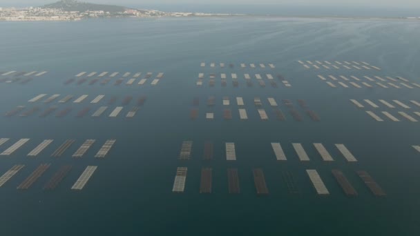 Tiro aéreo de fazendas de ostras de frutos do mar perto da cidade de Sete no lago Etang de Thau — Vídeo de Stock