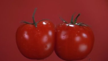 İki olgun kırmızı sulu domates kırmızı zeminde çarpışıyor.