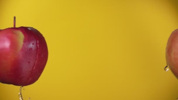 Два сочных красных яблока сталкиваются на желтом фоне — стоковое видео
