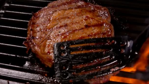 Tjocka läckra kött stek steker på ytan av grillen över en eld — Stockvideo