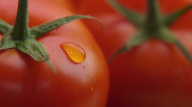 Yakından atılan su damlası olgun domatesin yüzeyine yavaşça akıyor. 