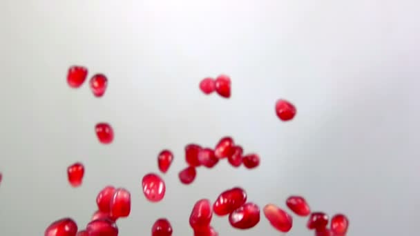 Granos rojos de granada madura rebotan sobre el fondo blanco — Vídeo de stock