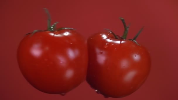 Zwei reife saftige Tomaten kollidieren und lassen Wasserspritzer aufsteigen — Stockvideo