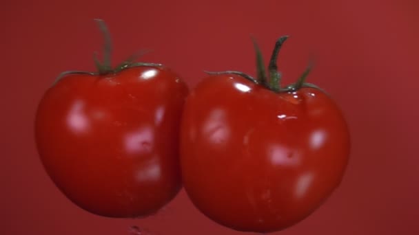 기름기많은 토마토 두 개가 빨간 배경 위에서 충돌하고 회전하고 있습니다 — 비디오