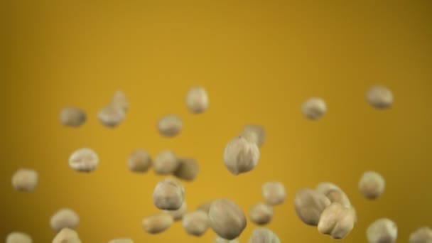 Close up of hazelnuts flying up on the yellow background — Stock Video