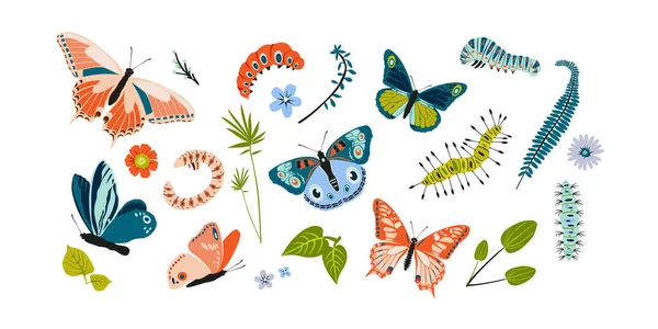 Establecer primavera y verano coloridas mariposas y oruga. Diferentes siluetas lindas sobre fondo blanco. Para tarjeta festiva, logotipo, niños, patrón, tatuaje, decorativo, concepto. Ilustración vectorial — Vector de stock