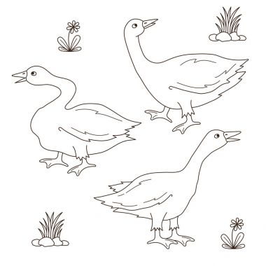 Satır kaz kuşlar vektör set