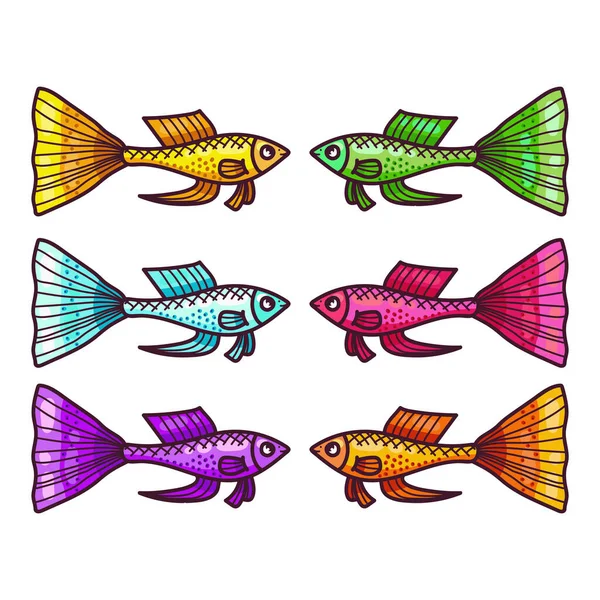 Цветной Векторный Набор Рыб Гуппи — стоковый вектор