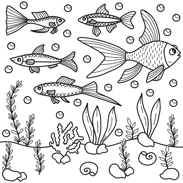 Zee Butom Aquarium Oceaan Onderwater Lijn Doodle Vector Illustratie — Stockvector