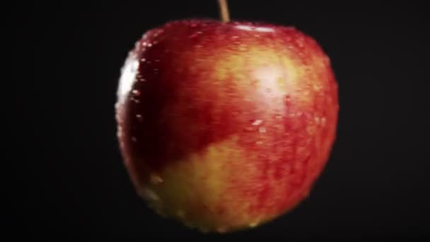 Biologische rode appel vallende druppels water. Vers fruit op zwarte achtergrond. — Stockvideo