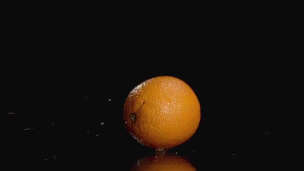 Slo-motion orange falling on dark background with copy space — Stock Video