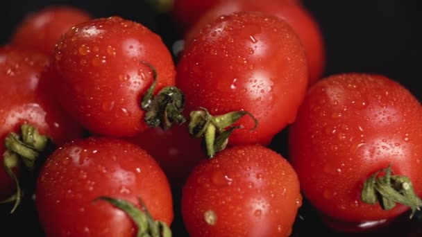 Pomodori close-up estremi con gocce d'acqua. Scivolare a destra con copyspace — Video Stock