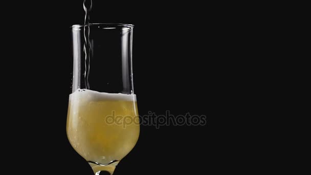Cerveja fresca derramada em vidro sobre fundo preto em câmera lenta com espaço de cópia — Vídeo de Stock