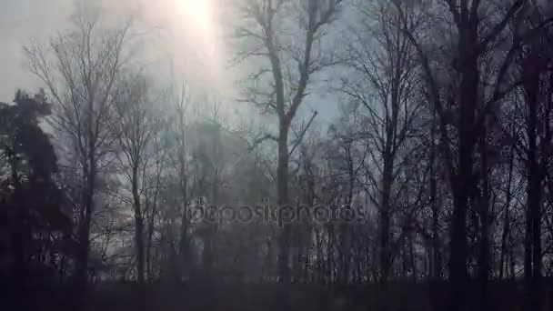 Vista dal finestrino del treno in 4k al mattino — Video Stock