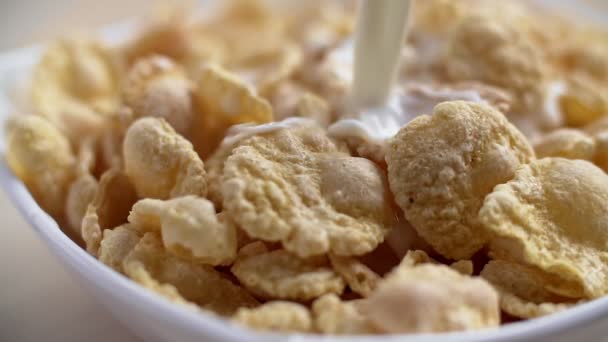 Leite Slo-mo derramado sobre flocos de milho de cereais — Vídeo de Stock