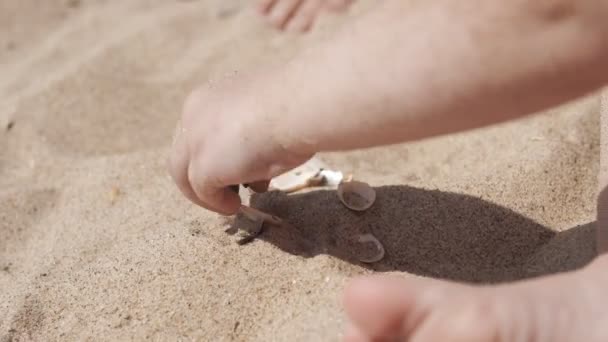 Menina bonito brincando com areia e conchas na praia. Fechar em UHD — Vídeo de Stock