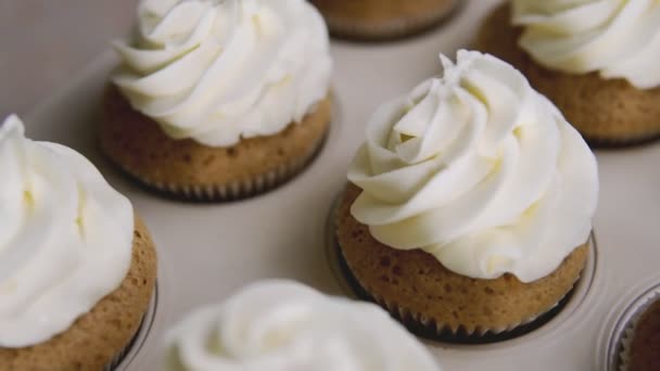 Tasse-Kuchen mit Sahne. Buttercreme auf leckeren Muffins, Backhauskonzept — Stockvideo