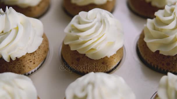 Cup-cakejes met slagroom. Boter crème op lekkere muffins, home bakkerij concept — Stockvideo