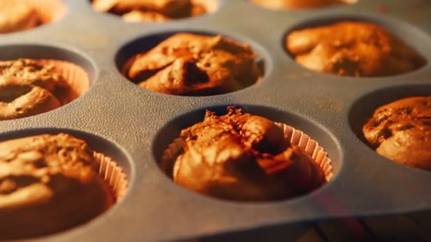 Cupcake. Baking in oven. Time lapse footage of cooking muffins. 4k, UHD — Stock Video