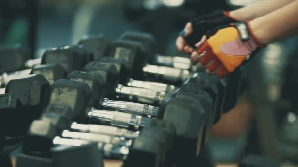 Mãos de atleta feminina a tomar halteres pesados. Preparando-se para o treino — Vídeo de Stock