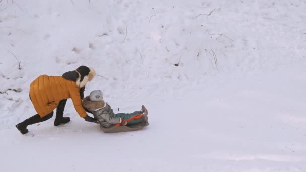 Moeder en dochter plezier op slee in winter park. Koude besneeuwde weer — Stockvideo